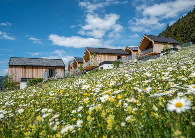 Hotel Regitnig Weissensee Kärnten Chalets