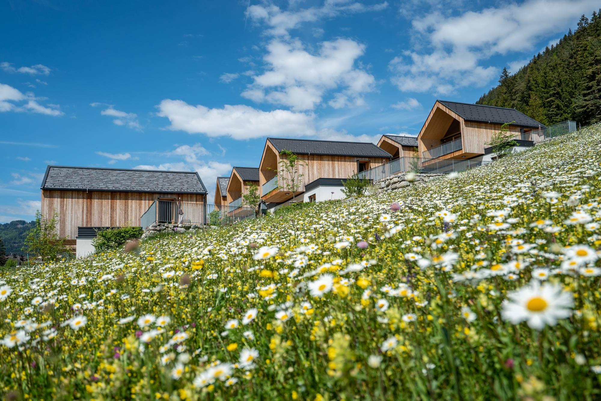 Hotel Regitnig Weissensee Kärnten Chalets